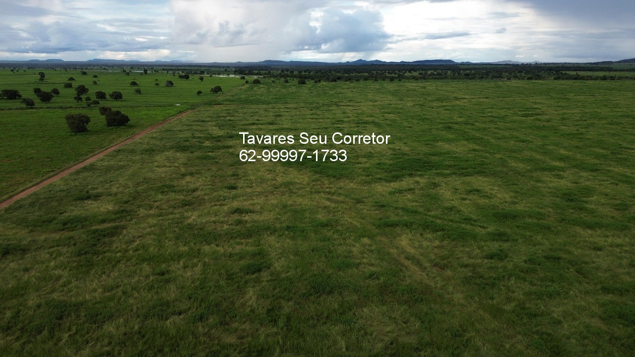 Fazenda - Foto 8
