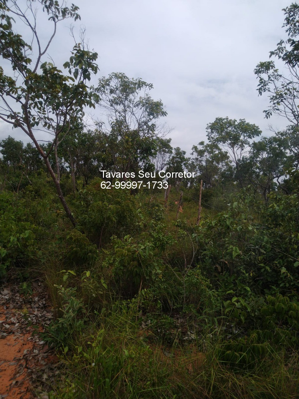 Fazenda - Foto 8