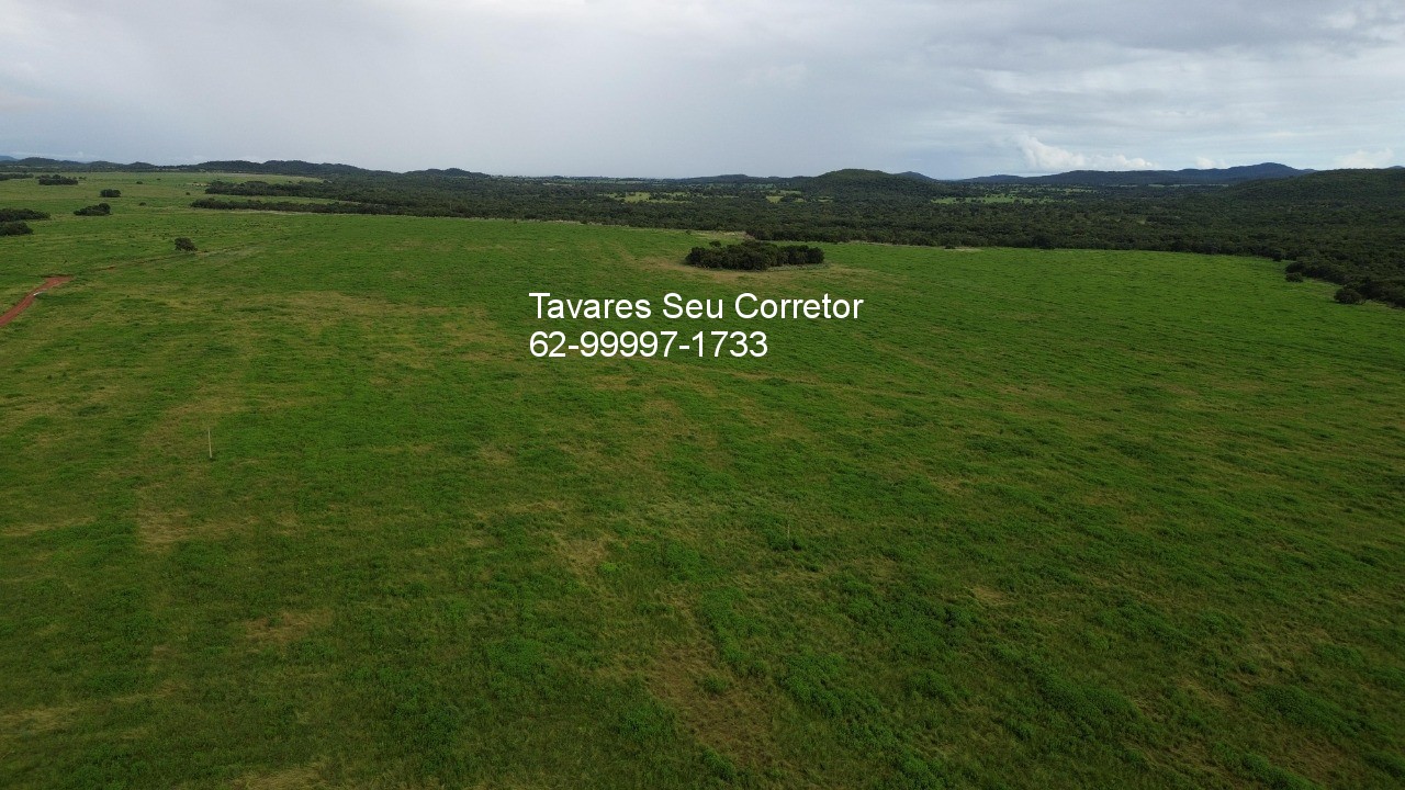 Fazenda - Foto 11