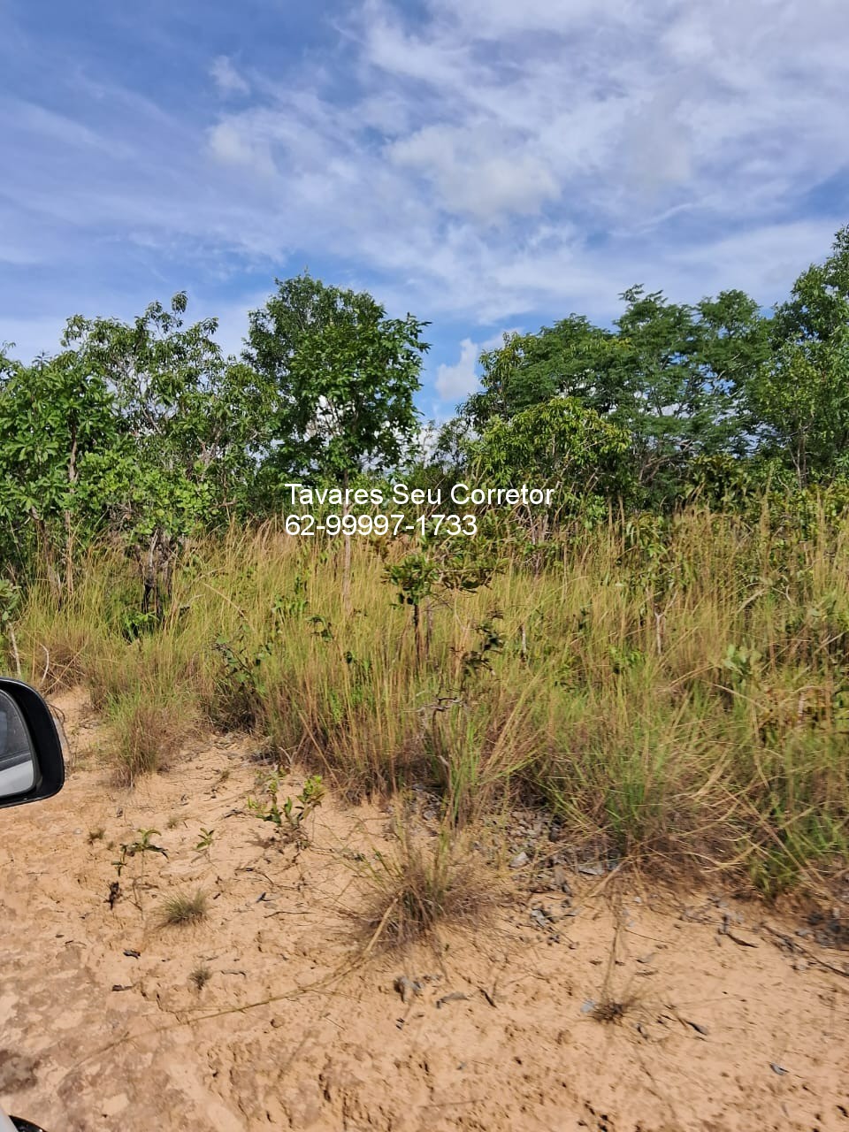 Fazenda - Foto 3