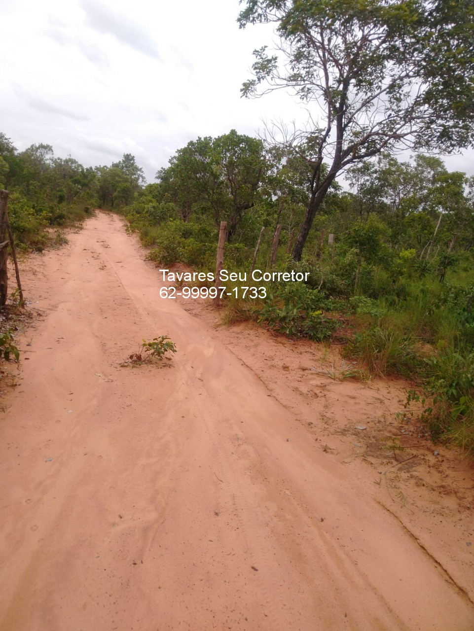 Fazenda - Foto 10