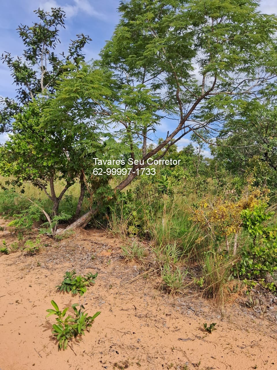 Fazenda - Foto 5