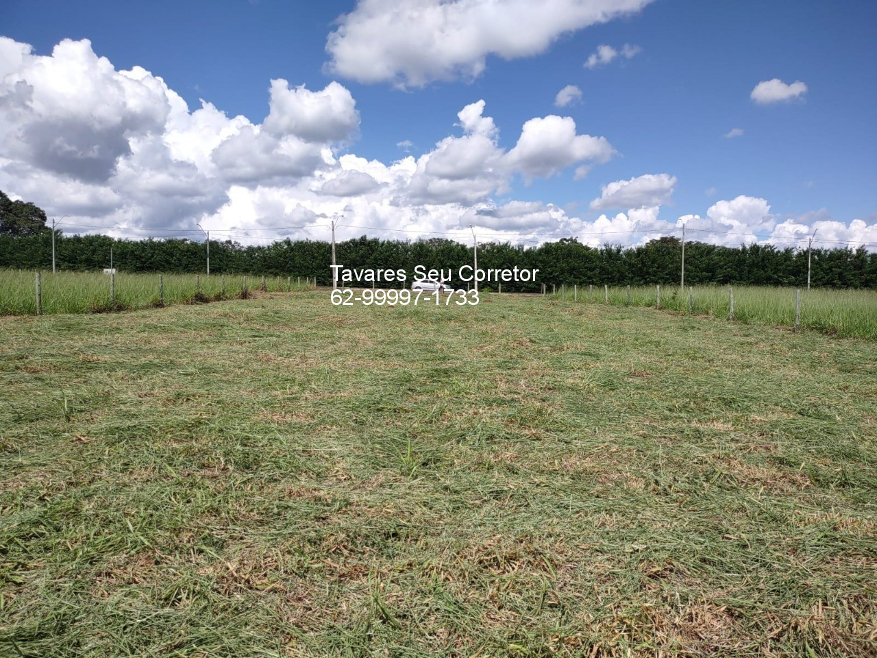 Terreno, 1500 m² - Foto 4