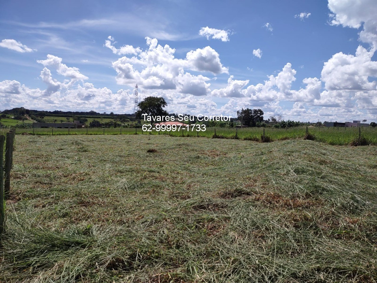 Terreno, 1500 m² - Foto 6