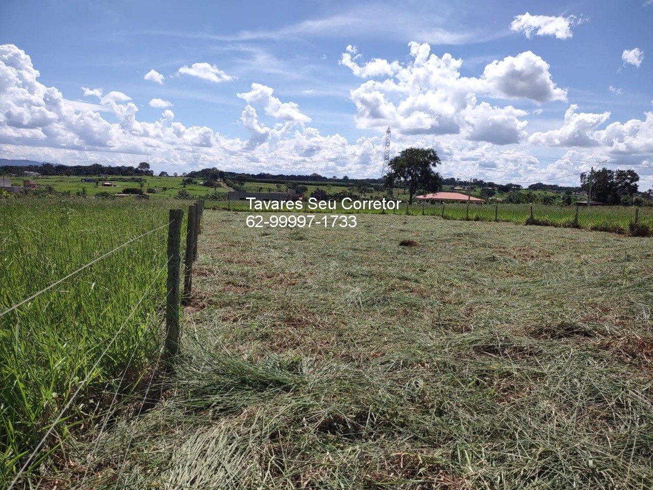 Terreno, 1500 m² - Foto 7