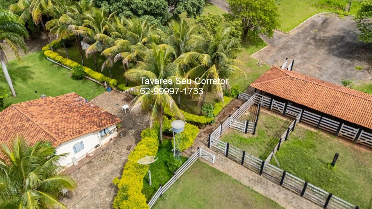 Chácara, 4 quartos - Foto 3