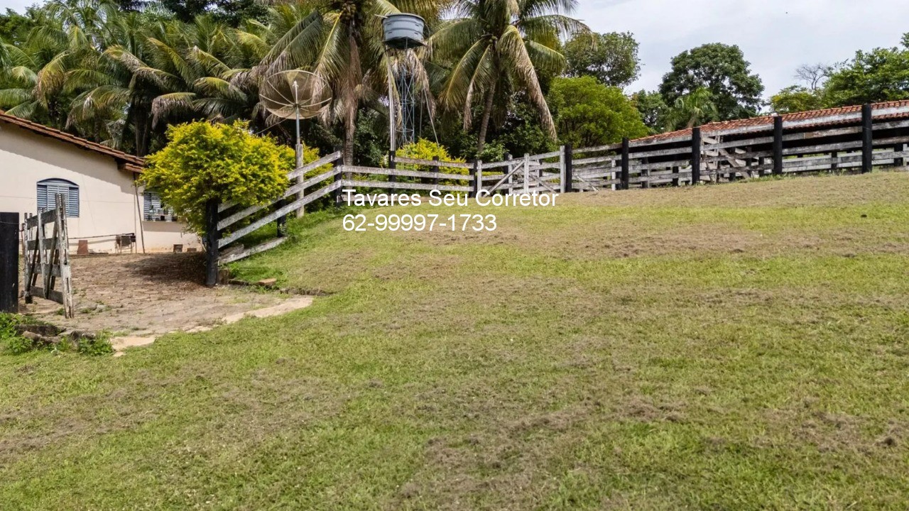 Chácara, 4 quartos - Foto 10