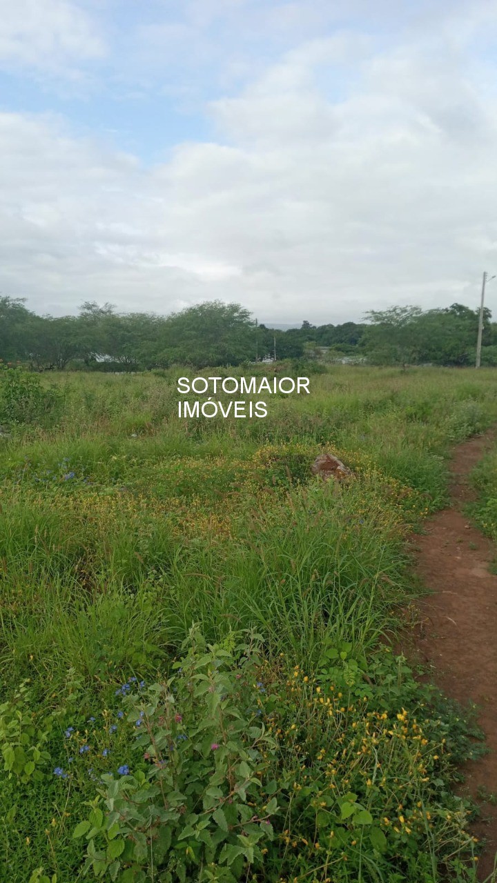 Terreno, 81 m² - Foto 1
