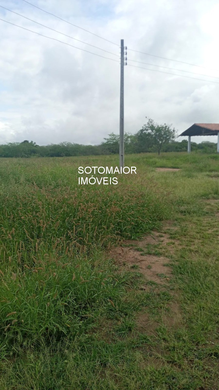Terreno, 81 m² - Foto 7