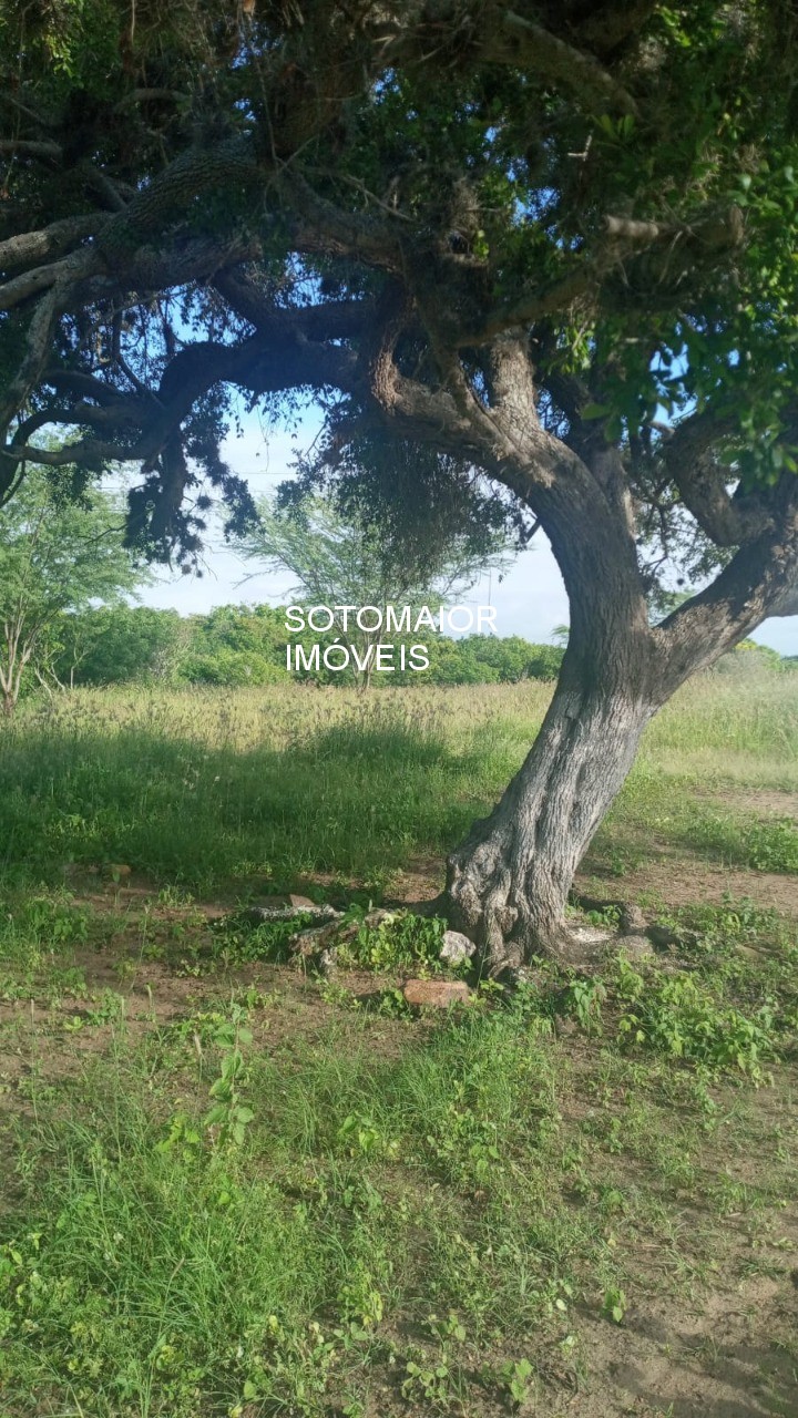 Terreno, 81 m² - Foto 4