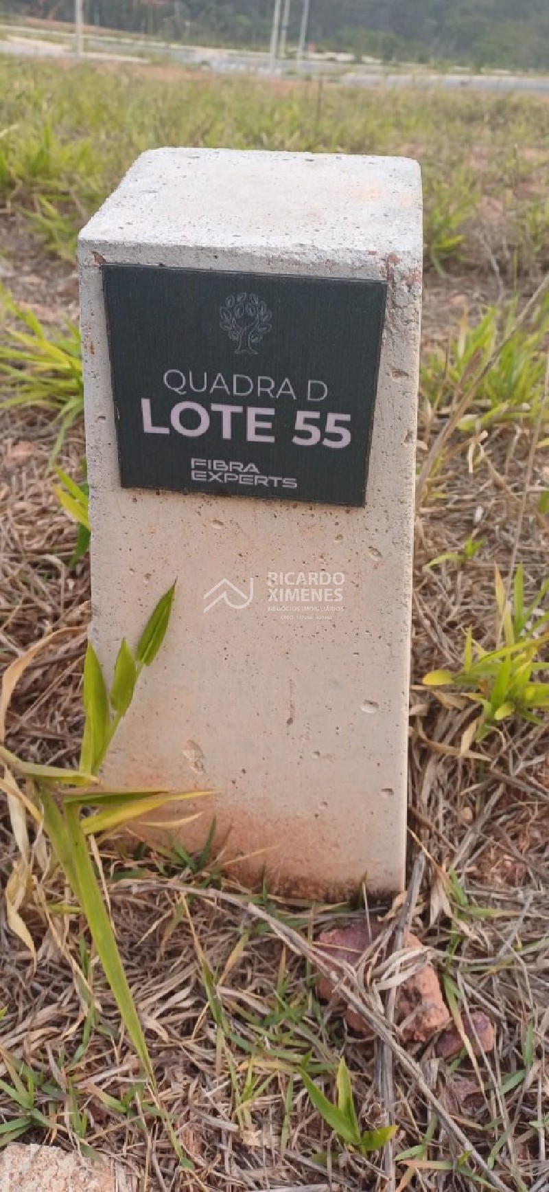 Terreno, 250 m² - Foto 2