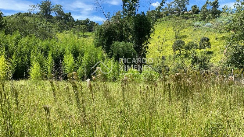Loteamento e Condomínio, 5000 m² - Foto 6