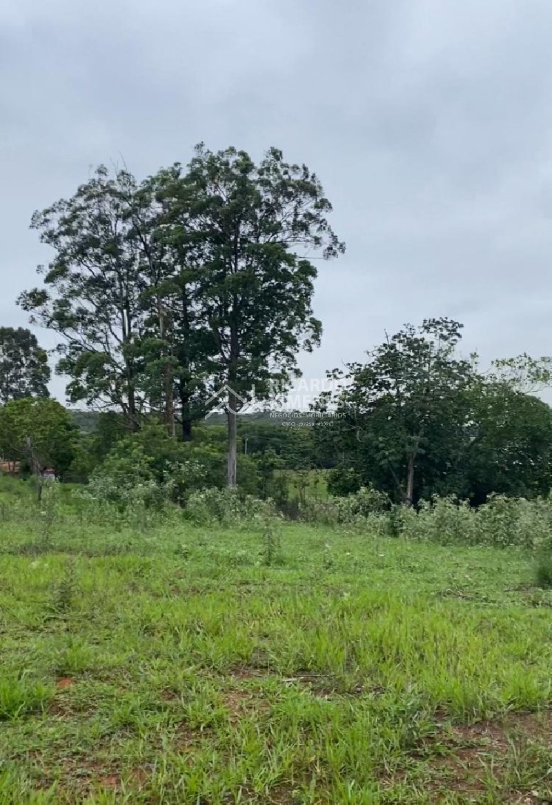 Loteamento e Condomínio, 5000 m² - Foto 3
