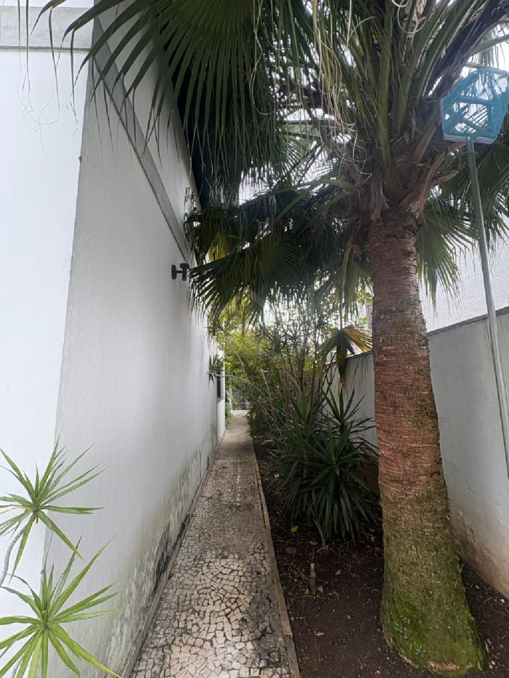 Casa, 5 quartos, 560 m² - Foto 27