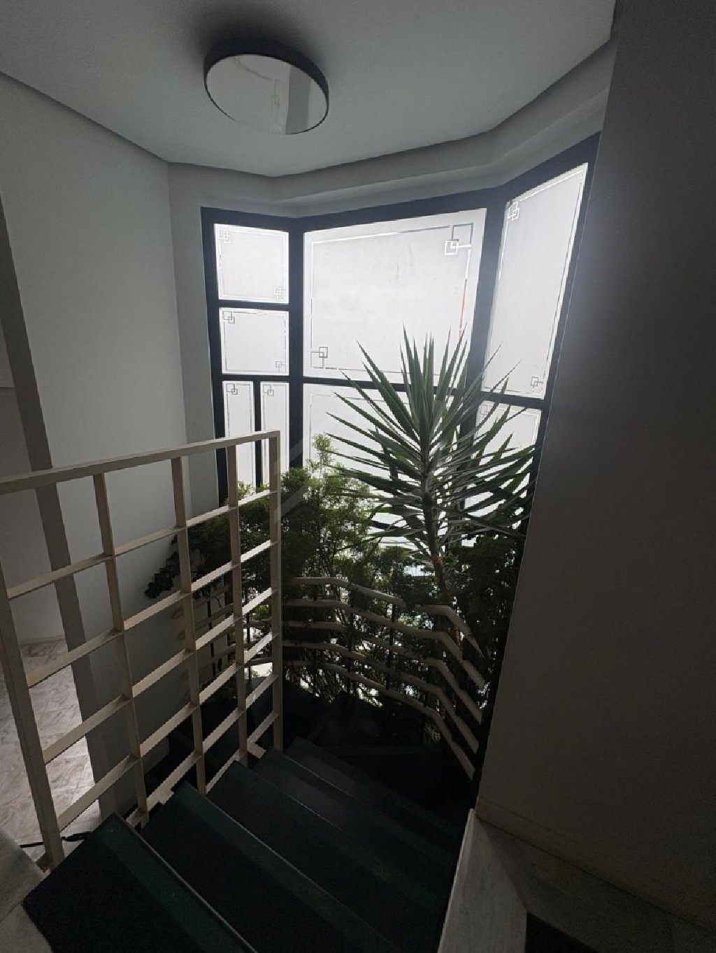 Casa, 5 quartos, 560 m² - Foto 14
