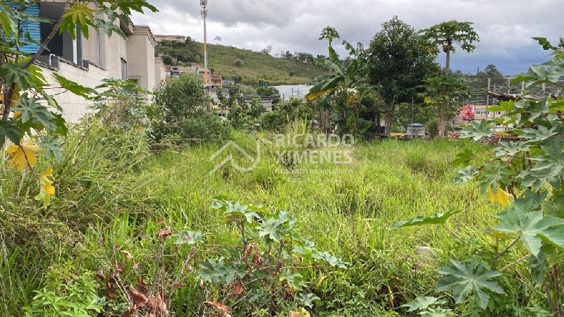 Loteamento e Condomínio, 360 m² - Foto 4