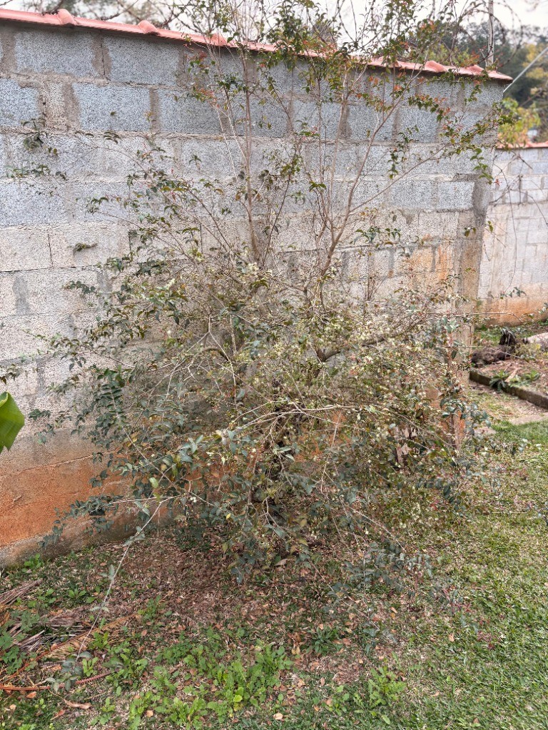 Chácara, 2 quartos - Foto 41