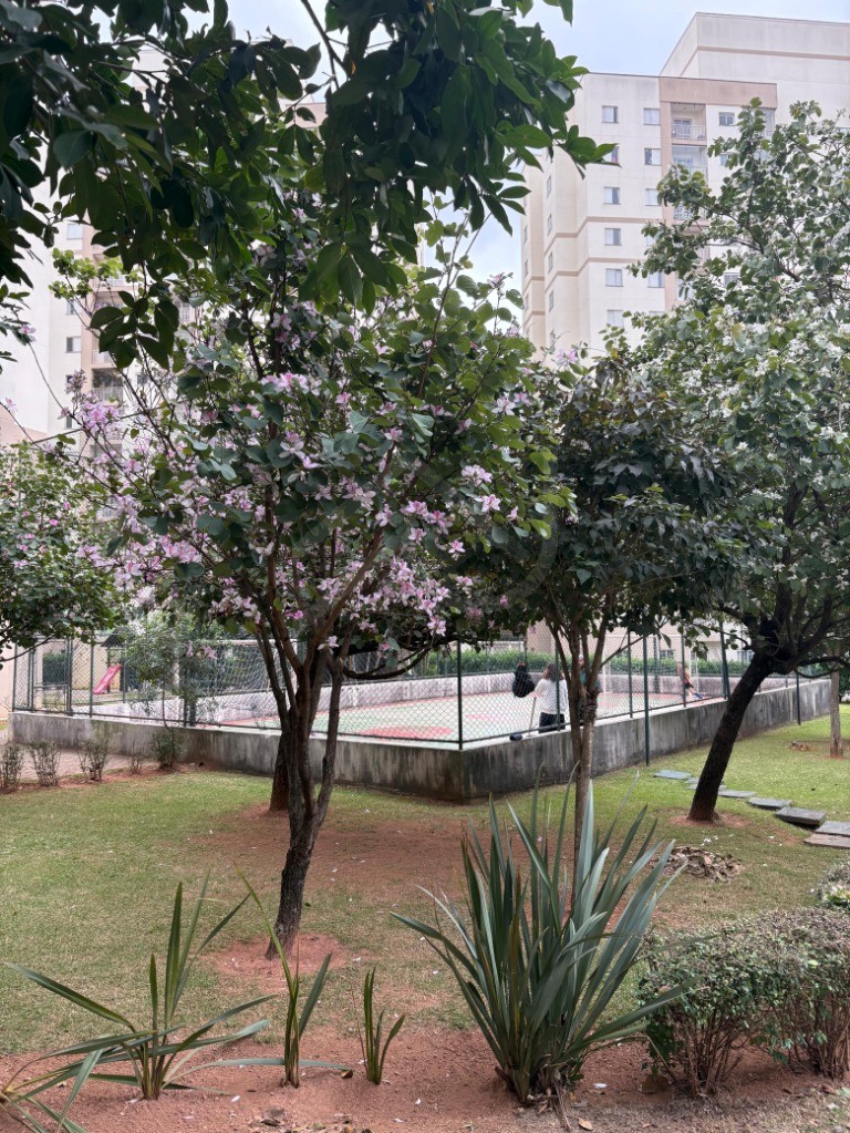 Apartamento, 2 quartos, 58 m² - Foto 18