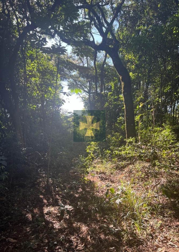 Loteamento e Condomínio, 2 hectares - Foto 1