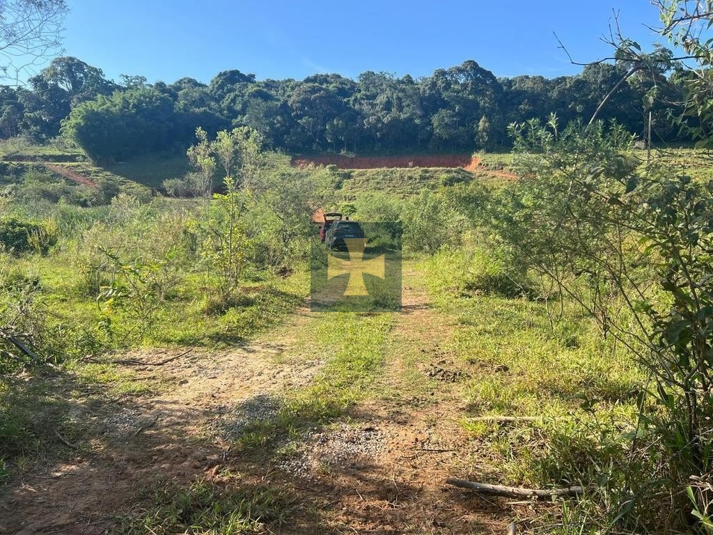Loteamento e Condomínio, 2 hectares - Foto 15