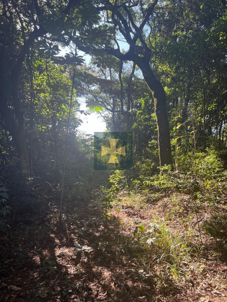 Loteamento e Condomínio, 2 hectares - Foto 10