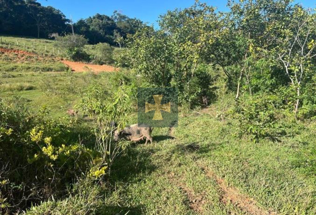 Loteamento e Condomínio, 2 hectares - Foto 7