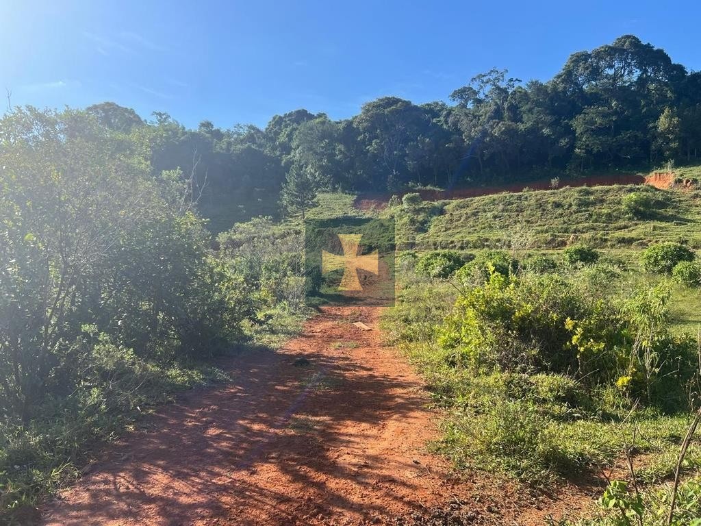 Loteamento e Condomínio, 2 hectares - Foto 23