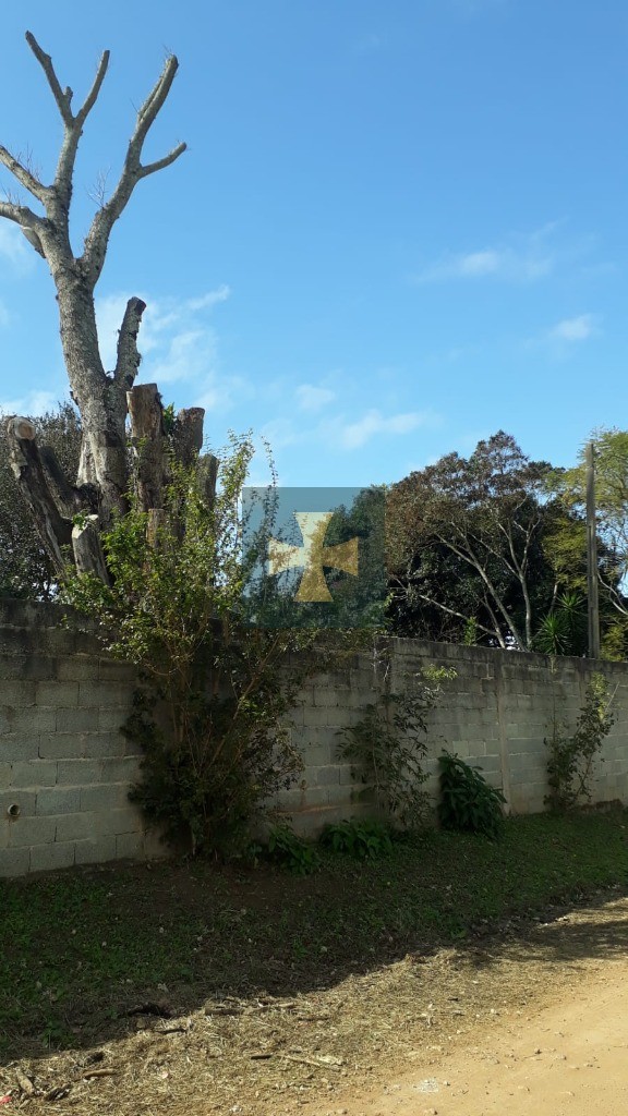 Chácara, 2 quartos - Foto 29