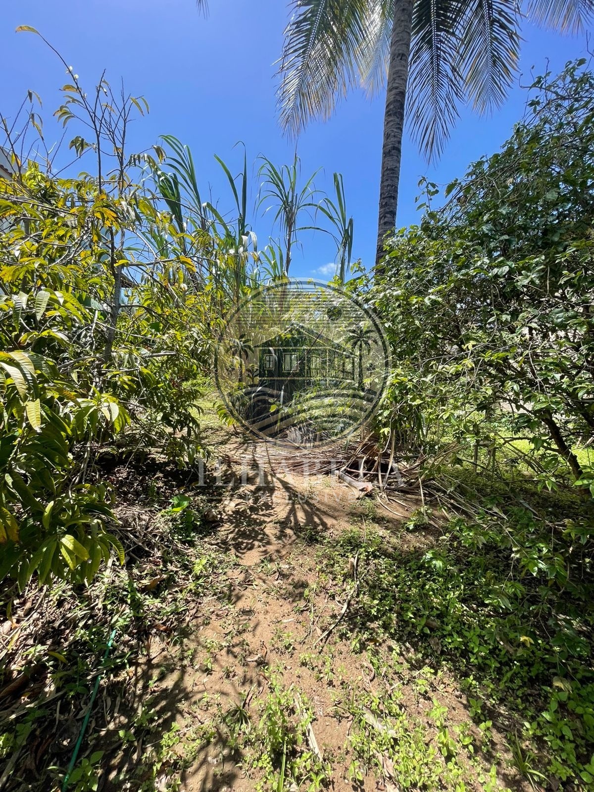 Prédio Inteiro, 800 m² - Foto 25