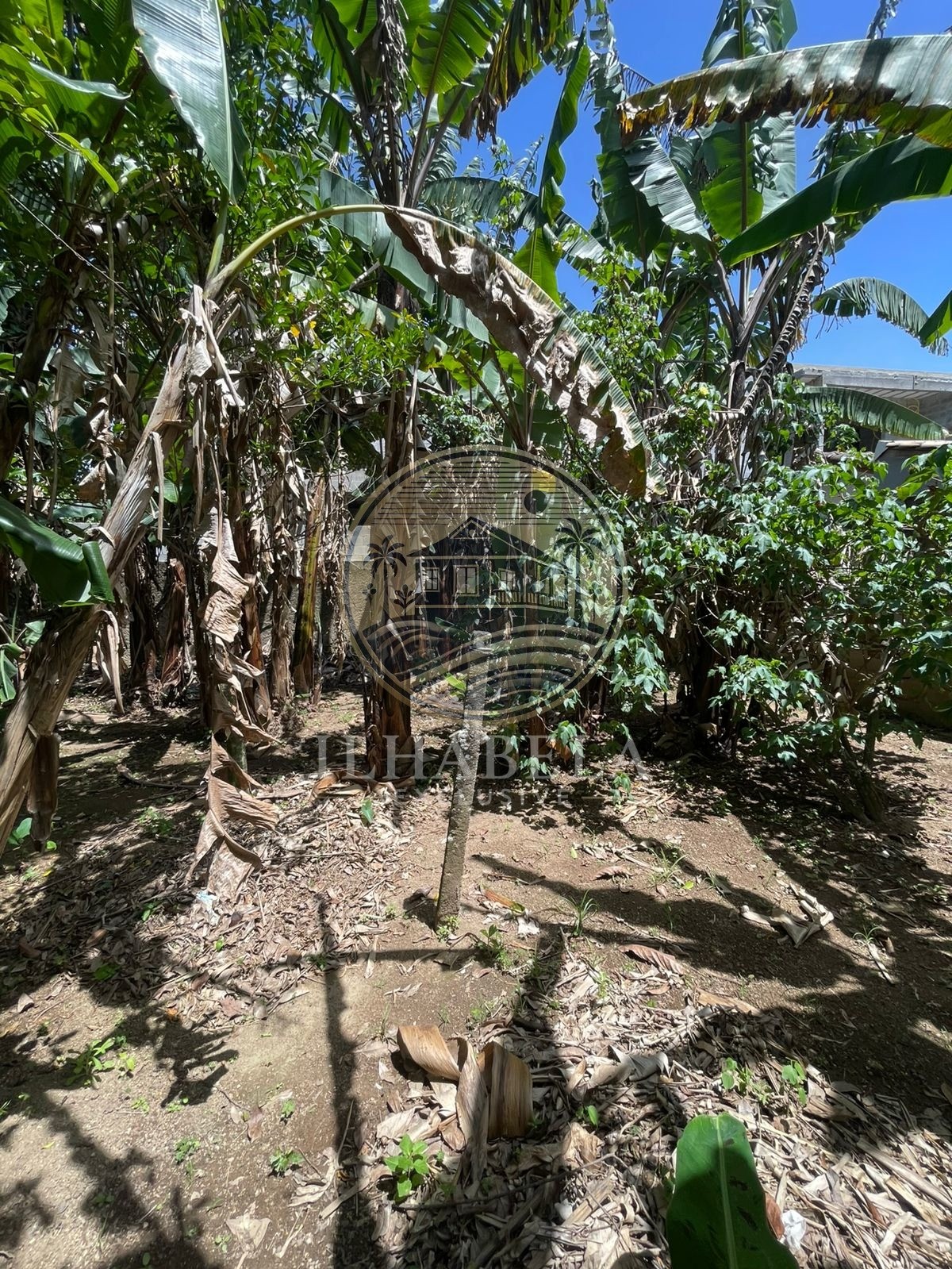 Prédio Inteiro, 800 m² - Foto 26