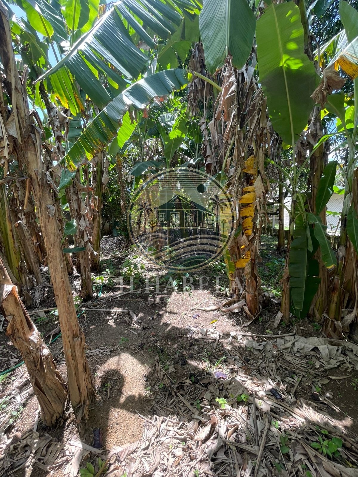 Prédio Inteiro, 800 m² - Foto 11