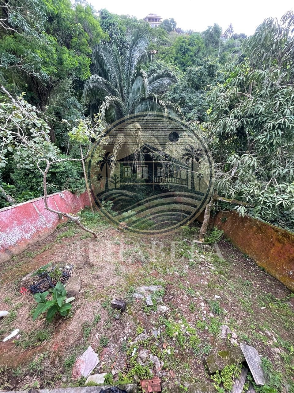 Casa, 4 quartos, 326 m² - Foto 55