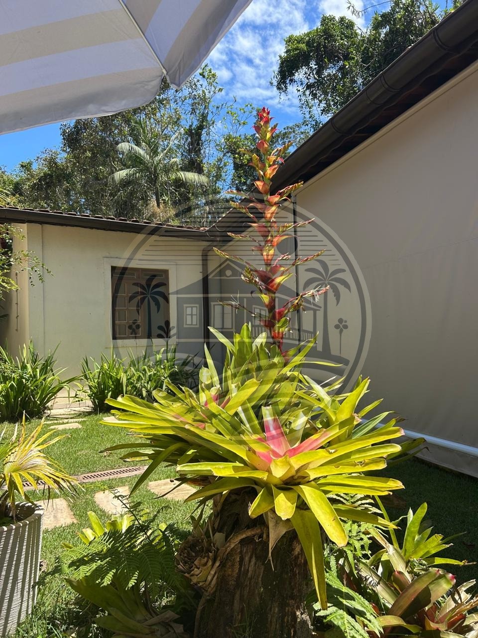 Casa, 5 quartos, 200 m² - Foto 4