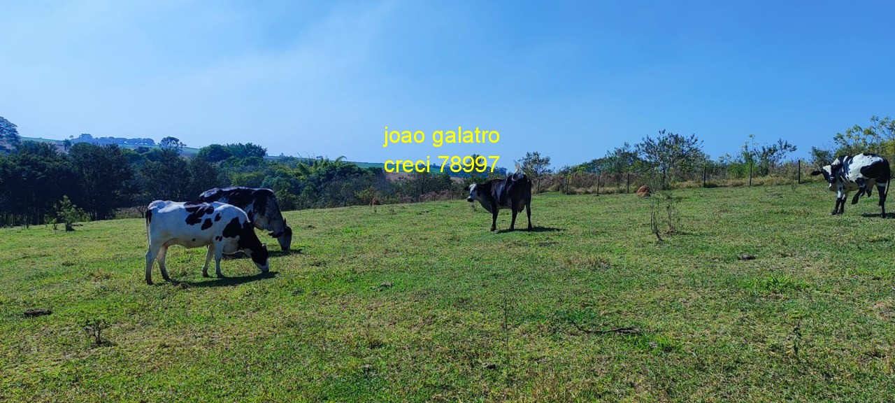Terreno - Foto 1