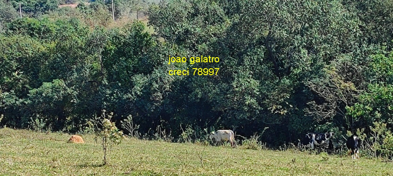 Terreno - Foto 6