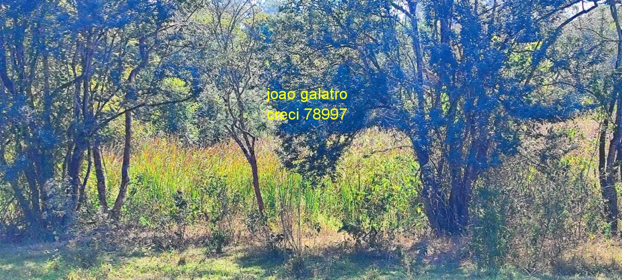 Terreno - Foto 4