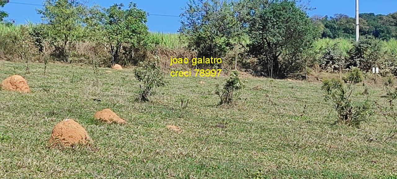 Terreno - Foto 7