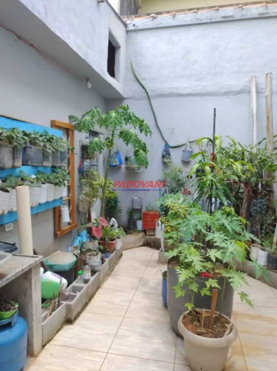 Casa, 3 quartos - Foto 18