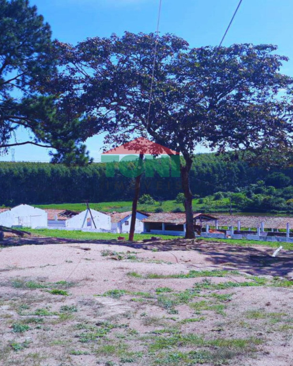 Sítio, 2 hectares - Foto 17