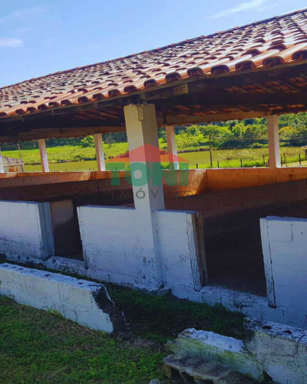 Sítio, 2 hectares - Foto 13