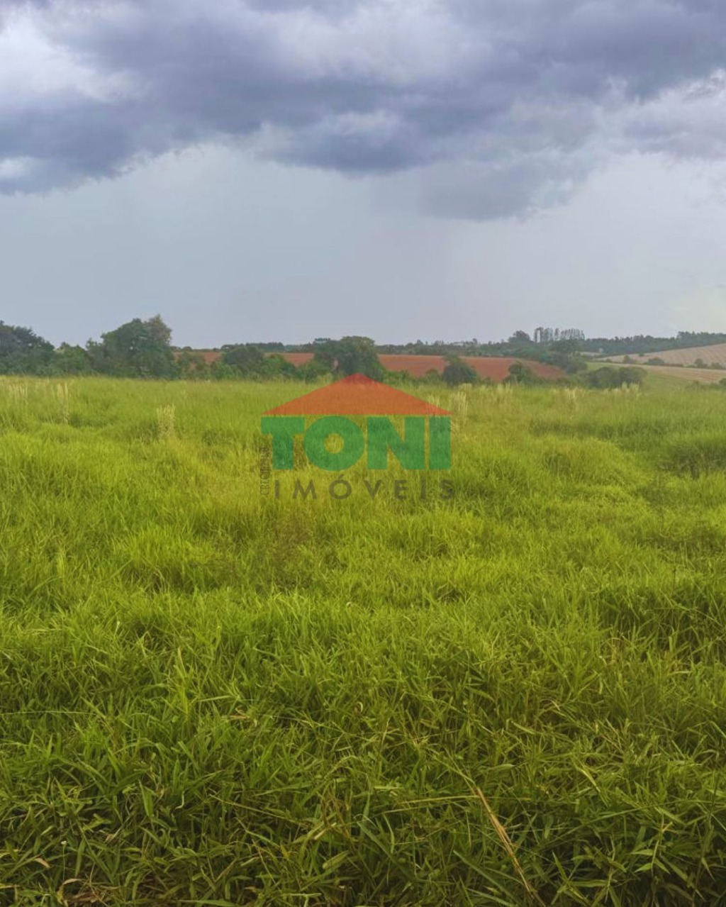 Terreno, 10000 m² - Foto 2