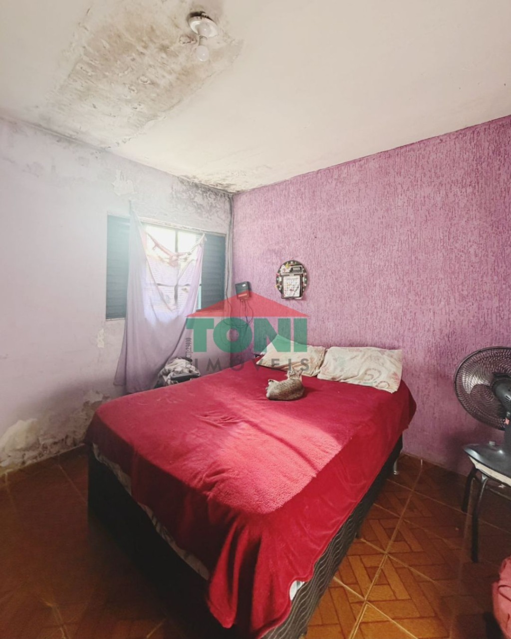 Casa, 3 quartos - Foto 7