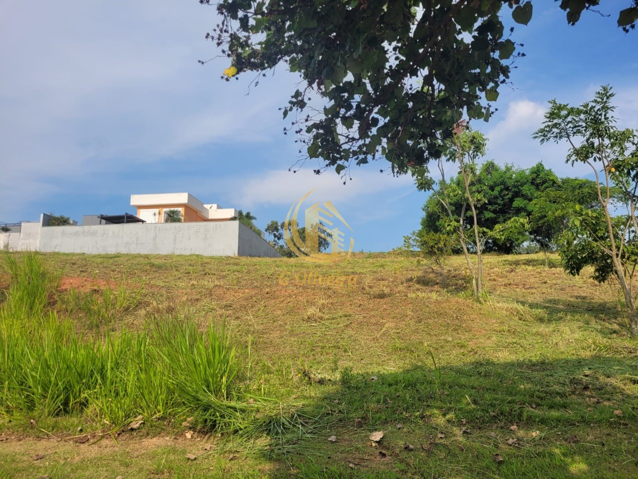 Foto Destaque