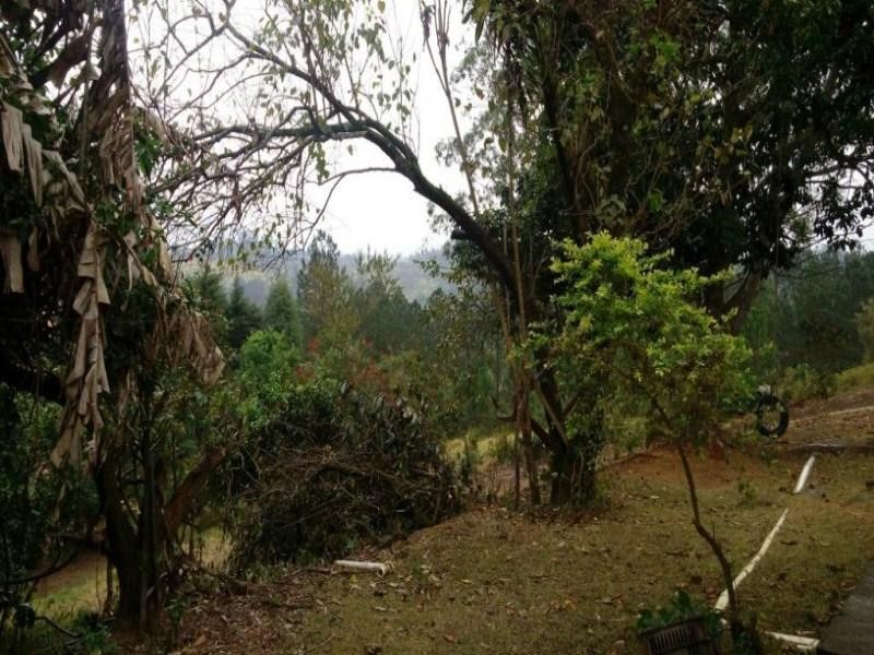 rea para Venda em Jundia / SP no bairro Jundia Mirim