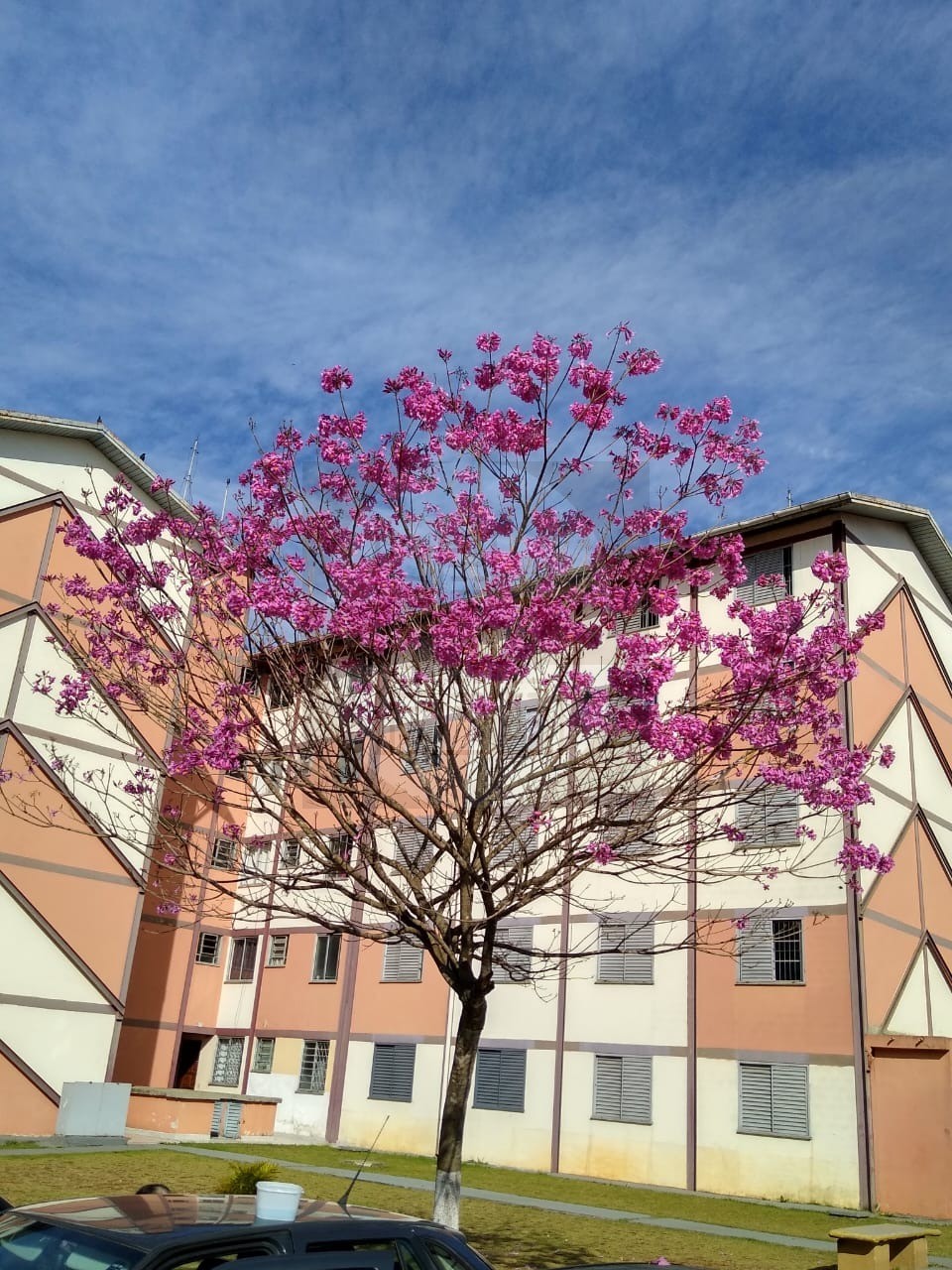 Apartamento, 2 quartos, 46 m² - Foto 19