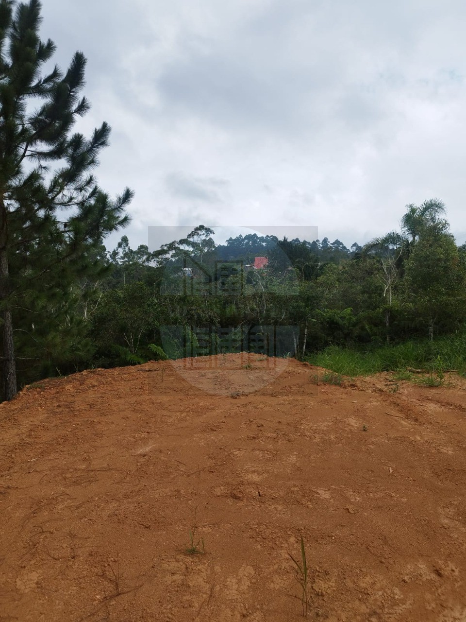 Terreno, 100 m² - Foto 3