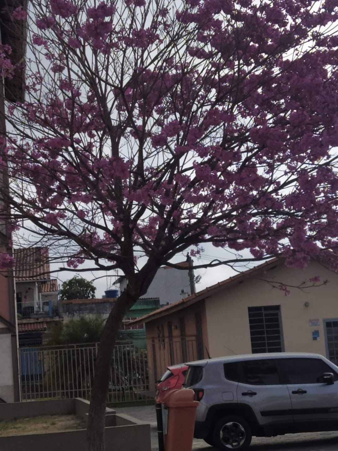 Apartamento, 2 quartos, 46 m² - Foto 3