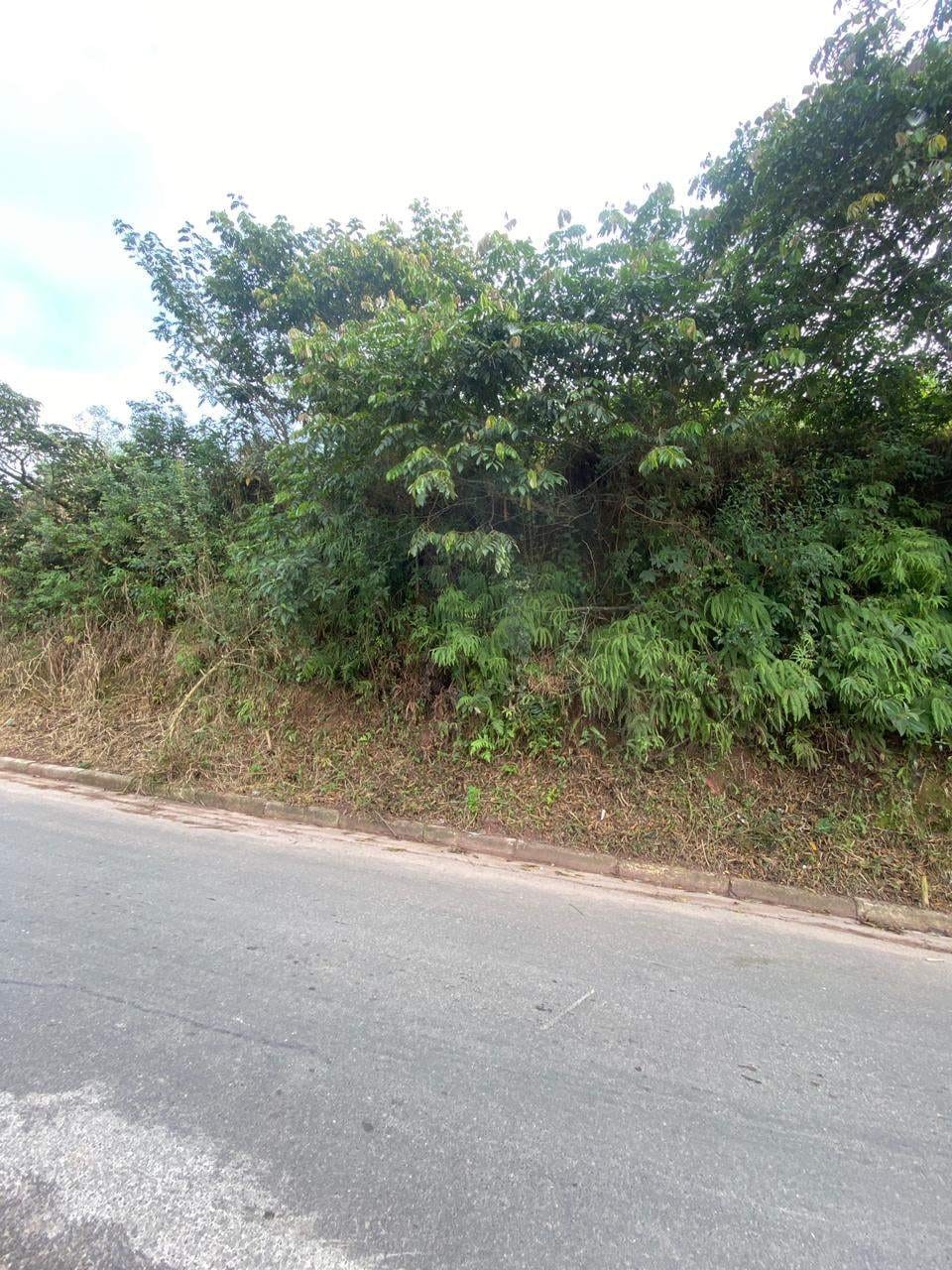 Terreno, 250 m² - Foto 2