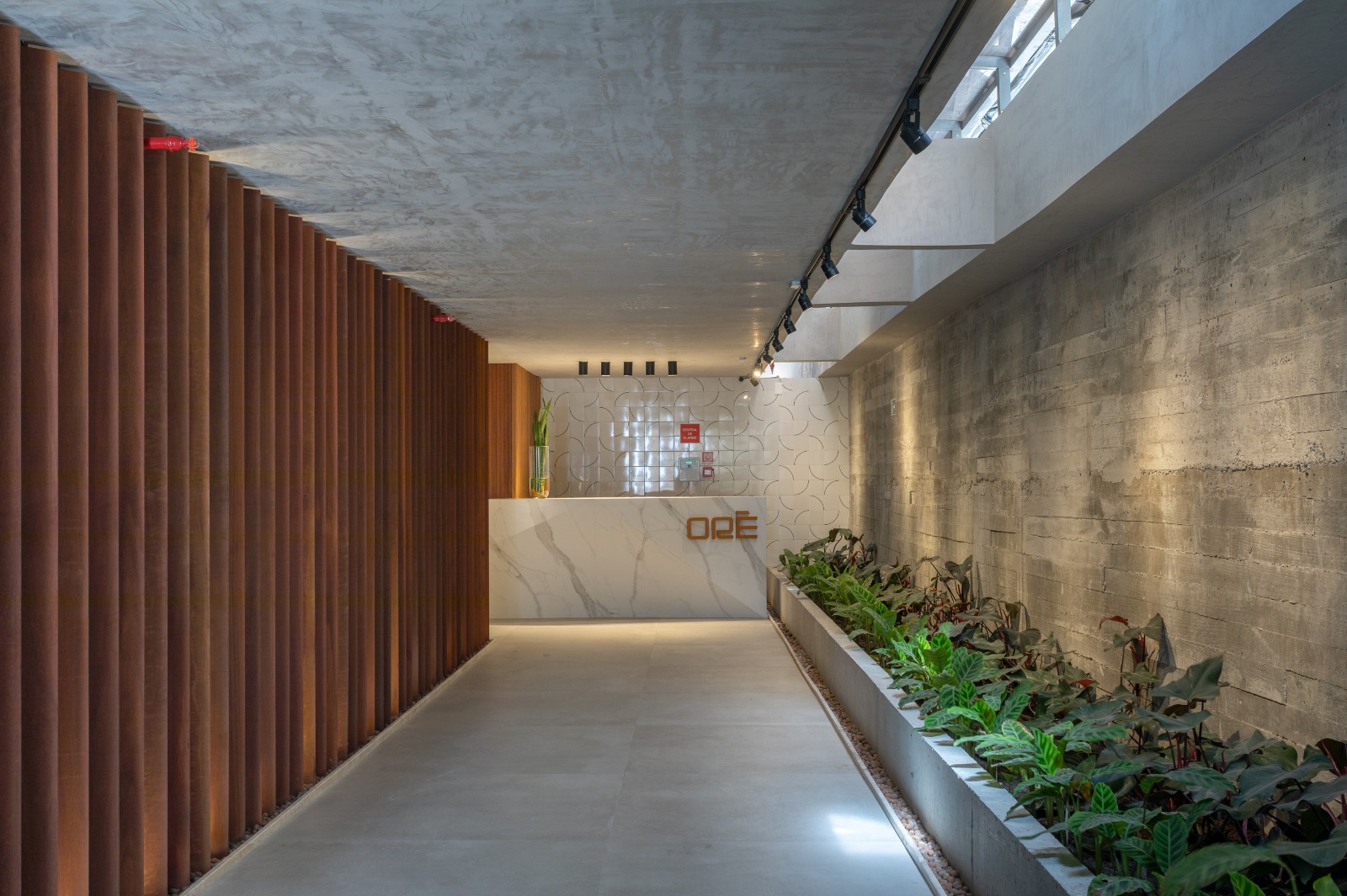 Apartamento à venda com 3 quartos, 226m² - Foto 8