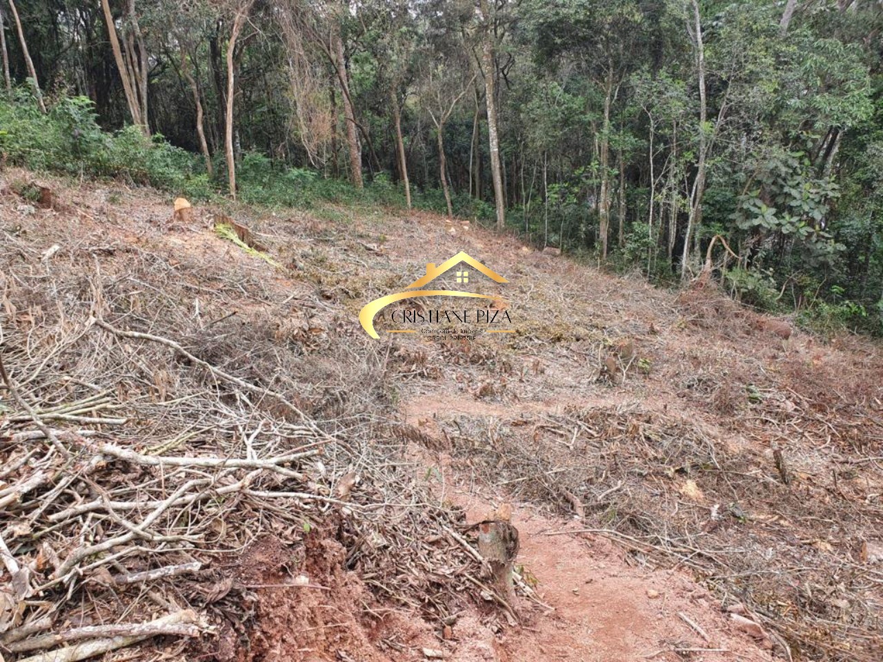 Terreno, 1659 m² - Foto 2